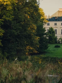Fundacja Swidno