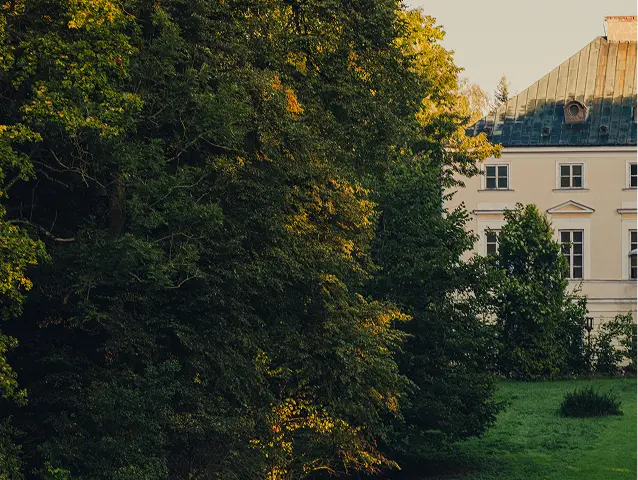 The palace from the park side
